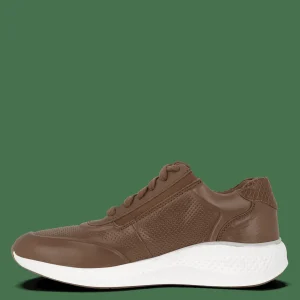 Green Comfort City>Dolphin Dami - Cognac