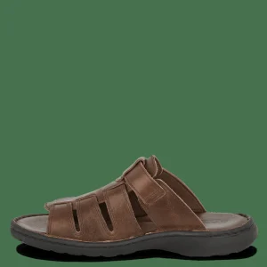 Green Comfort Sandaler Uden Hael>Goa Gavin - Espresso